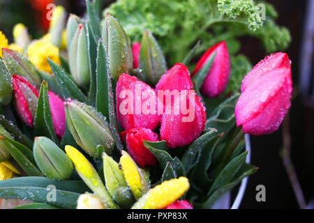 Frisch geschnittene Frühling Blumen zum Verkauf bereit Stockfoto