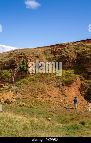 Rolling Bank Quarry SSSI auf Cleeve Hill in der Nähe von Cheltenham, Gloucestershire, England Stockfoto