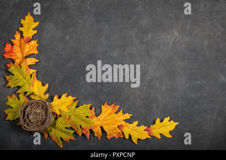 Schwarzer Hintergrund mit herbstlaub und ein Vogelnest bilden eine Grenze. Stockfoto