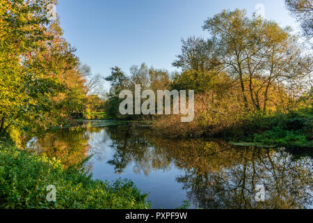 Malerische Aussicht entlang Stour Valley Weg mit herbstlichen Bäume in den Stour Fluss an einem sonnigen Tag im Oktober 2018, Dorset, England, UK wider Stockfoto