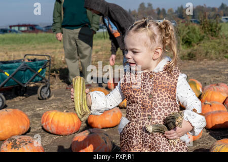 23 Monate altes Mädchen suchen in Ehrfurcht an der Kürbis stammt sie hat an die Pumpkin Patch gefunden. Stockfoto