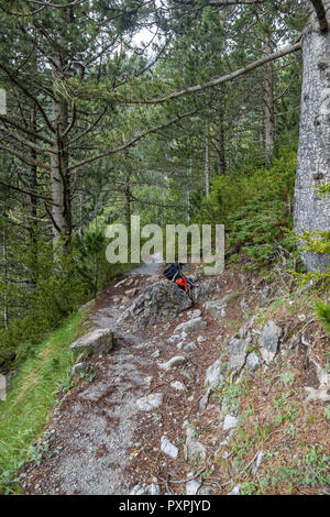 Wanderweg im Wald E4 Olymp Griechenland grünen Kiefern und Felsen Sommer Landschaft Hintergrund Stockfoto