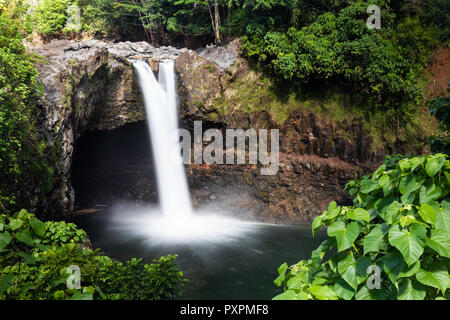 Rainbow Falls in Hilo, Big Island von Hawaii. Es fällt 40 Fuß von Rock bis der Pool unten. Es ist von grünen tropischen Vegetation umgeben. Stockfoto