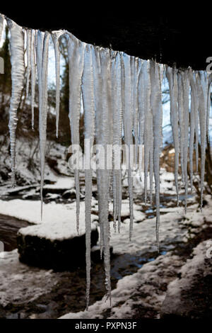 Lange Eiszapfen hängen von einer Klippe neben dem West Burton fällt in den Yorkshire Dales National Park Stockfoto