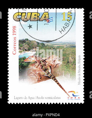Storniert Briefmarke gedruckt von Kuba, zeigt, dass Vinales Anole, circa 1998. Stockfoto