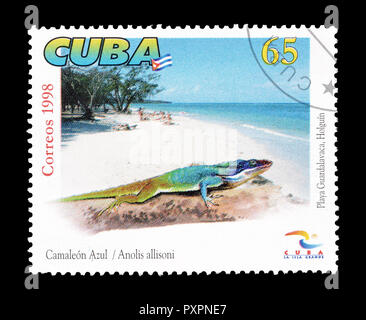 Storniert Briefmarke gedruckt von Kuba, zeigt, dass Allison Anole, circa 1998. Stockfoto