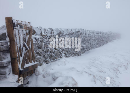 Schnee bedeckt Trockenmauer und Tor auf Pen-y-Gent in den Yorkshire Dales National Park Stockfoto