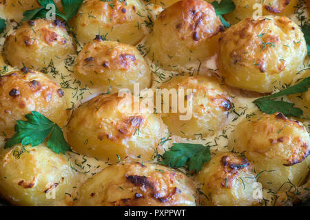 Prinz: Kartoffeln: im Ofen gebacken junge Kartoffeln mit Quark. Essen mit Gemüse. Russische Küche. Stockfoto