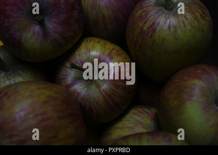 Knackig frische Braeburn Äpfel (Malus Domestica) Close-up Stockfoto