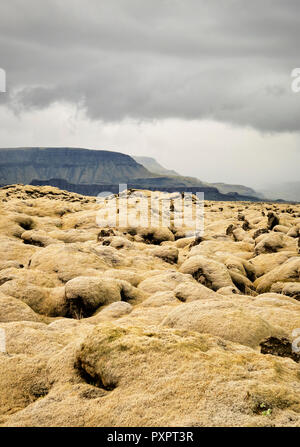 Die leeren Moss vulkanische Lavafelder im Süden von Island. Stockfoto