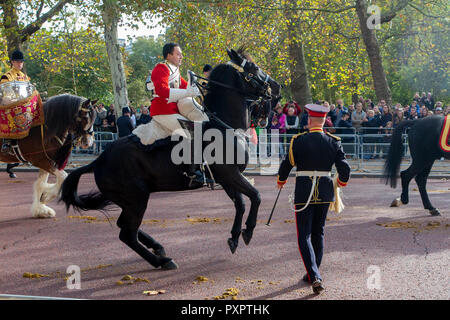 Ein ruckeln Pferd macht Reiten schwierig für eine Wache an der König und die Königin von Holland's Staatsbesuch in Großbritannien Stockfoto