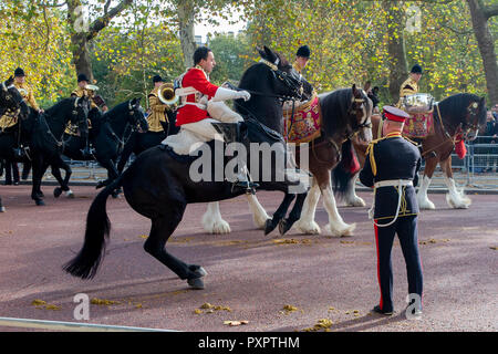 Ein ruckeln Pferd macht Reiten schwierig für eine Wache an der König und die Königin von Holland's Staatsbesuch in Großbritannien Stockfoto