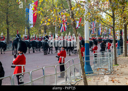 Mehrere niederländische und Union Fahnen schmücken die Mall für den Staatsbesuch des Königs und der Königin von Holland nach Großbritannien Stockfoto