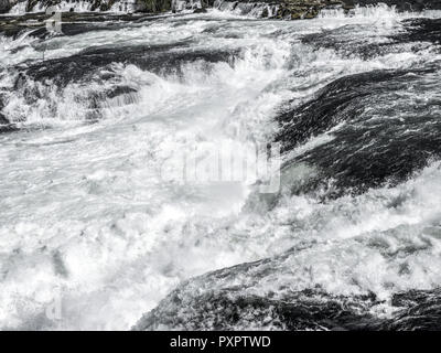Rheinfall bei Schaffhausen, Schweiz Stockfoto