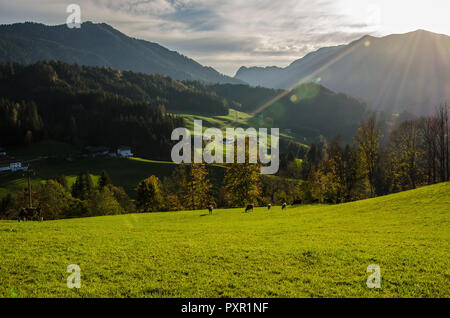 Leogang ist eine Gemeinde im österreichischen Bundesland Tirol im Bezirk Kufstein. Es besteht aus dem Brandenburger Dorf und die Aschau Ort Stockfoto