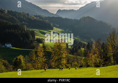 Leogang ist eine Gemeinde im österreichischen Bundesland Tirol im Bezirk Kufstein. Es besteht aus dem Brandenburger Dorf und die Aschau Ort Stockfoto