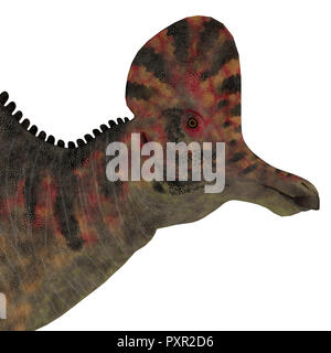 Corythosaurus Saurier Kopf - corythosaurus war ein duck-billed pflanzenfressende Dinosaurier, die in Nordamerika in der Kreidezeit lebten. Stockfoto