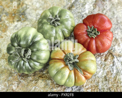 Verschiedenen Marinda Tomaten aus Sizilien Stockfoto