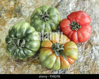 Verschiedenen Marinda Tomaten aus Sizilien Stockfoto