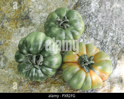Verschiedenen Marinda Tomaten aus Sizilien Stockfoto