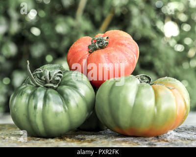 Verschiedenen Marinda Tomaten aus Sizilien Stockfoto