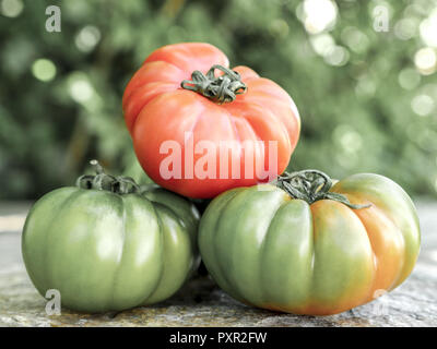 Verschiedenen Marinda Tomaten aus Sizilien Stockfoto