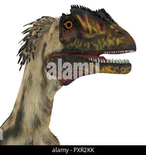 Deinonychus Deinonychus Dinosaurier Kopf - war ein fleischfressender Theropode Saurier, die in Nordamerika in der Kreidezeit lebten. Stockfoto