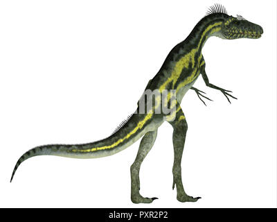 Deltadromeus Dinosaurier Schwanz - deltadromeus war eine fleischfressende Theropode Saurier, die in Nordafrika in der Kreidezeit lebten. Stockfoto