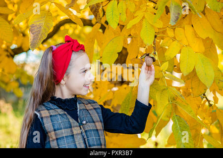 Nettes Mädchen mit Walnüssen aus dem Nussbaum Ernte im Garten. Bunte und verwackelte Nussbaum, im Hintergrund. Stockfoto