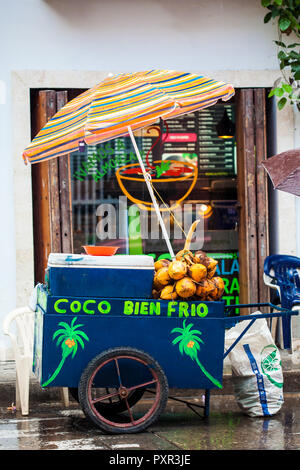 Straße Verkauf von Kokosnuss Wasser, das in der ummauerten Stadt Cartagena de Indias Stockfoto