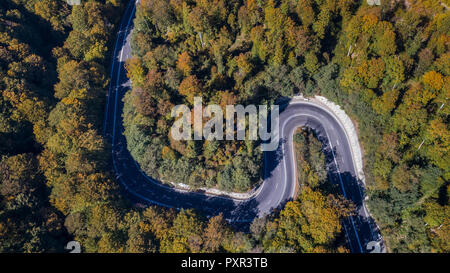 Geschwungene Straße durch den Wald. Pass in Siebenbürgen, Rumänien. Luftaufnahme von einer Drohne. Stockfoto