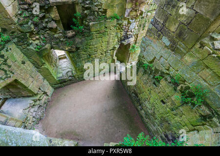 Old Wardour Castle in der Nähe von Tisbury, Wiltshire, England, Vereinigtes Königreich, Europa Stockfoto