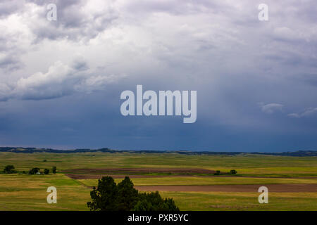 Gewitterwolken füllen Sie den Himmel als Regen im Hintergrund über das Pine Ridge, South Dakota von Nebraska fällt. Stockfoto