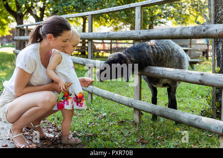 Mutter und Tochter Fütterung ein Schaf hinter Zaun Stockfoto