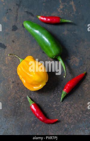 Variuos Sorten chili Schoten auf verrostetem Metall Stockfoto