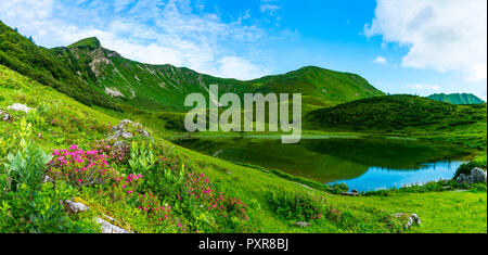 Alpenrosenbluete, Panorama ueber den Schlappoldsee, Allgäuer Alpen, Allgäu, Bayern, Deutschland, Europa Stockfoto