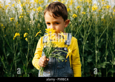 Portrait von kleinen Jungen riechen gepflückten Blumen in der Natur Stockfoto
