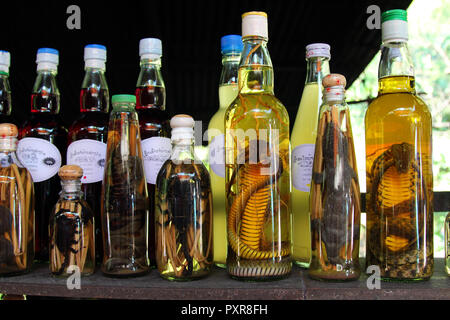 Reihe von Flaschen mit Schlange und Skorpion Whiskey für den Verkauf in Laos Stockfoto