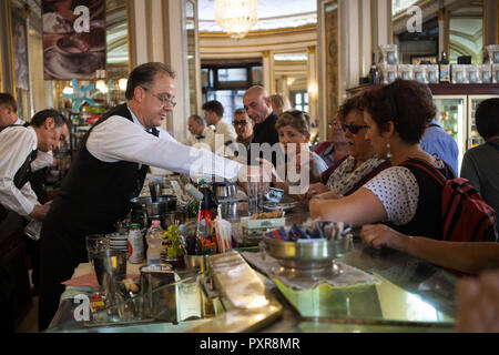 Kellner/in Café, das Gambrinus in Neapel Stockfoto