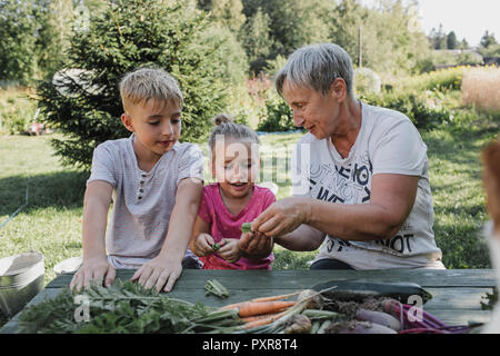 Ältere Frau mit Enkel und Enkelin genießen geernteten Gemüse im Garten Stockfoto