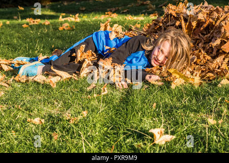 Junge langhaarige Junge spielt mit Herbst Ahorn Blätter Stockfoto