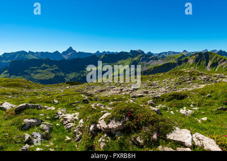 Am Nebelhorn Koblat, 2224 m, dahinter der Hochvogel (2592m), Allgäuer Alpen, Allgäu, Bayern, Deutschland, Europa Stockfoto