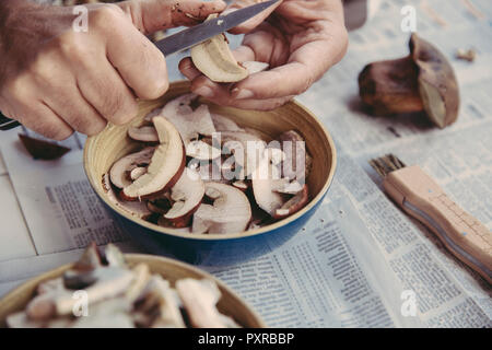 Des Menschen Hand schneiden orange bolete Stockfoto