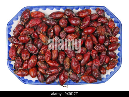 Rote Herbst getrockneten Beeren der Wald Hüften eine große Menge an Vitamin C. Die Früchte für Kräutertee bereit sind, enthalten. Auf weissem studio Makro isoliert Stockfoto
