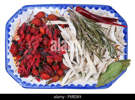 Rote Herbst getrockneten Beeren der Wald Hüften, Berberitze, Meerrettich und Thymian eine große Menge an Vitamin C. Die Früchte für pflanzliche te bereit sind, enthalten. Stockfoto