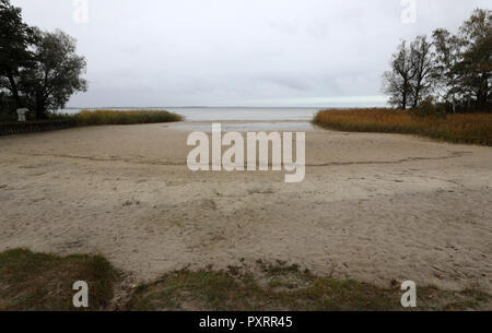 Boek, Deutschland. 22 Okt, 2018. Die badestelle an der Müritz ist trocken auf dem Campingplatz. Die lang anhaltende Trockenheit hat Wasser in der Mecklenburgischen Seenplatte um rund 70 Zentimeter. Die Situation ist noch nicht bedrohlich für die Großen Seen. In den kleineren Seen und Flüsse, auf der anderen Seite Fische sterben können im kommenden Winter wenn es schweren Eisdecke ist. Quelle: Bernd Wüstneck/dpa/Alamy leben Nachrichten Stockfoto