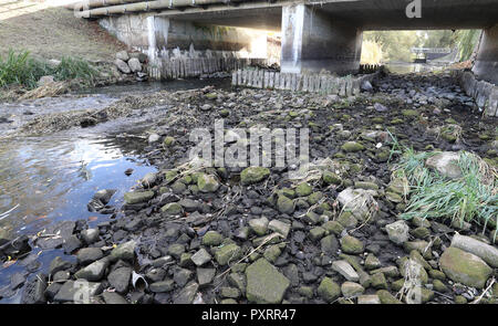 Alt Schwerin, Deutschland. 22 Okt, 2018. Der Fluss Tollense am Wehr ist halb leer. Die lang anhaltende Trockenheit hat Wasser in der Mecklenburgischen Seenplatte um rund 70 Zentimeter. Die Situation ist noch nicht bedrohlich für die Großen Seen. In den kleineren Seen und Flüsse, auf der anderen Seite Fische sterben können im kommenden Winter wenn es schweren Eisdecke ist. Quelle: Bernd Wüstneck/dpa/Alamy leben Nachrichten Stockfoto