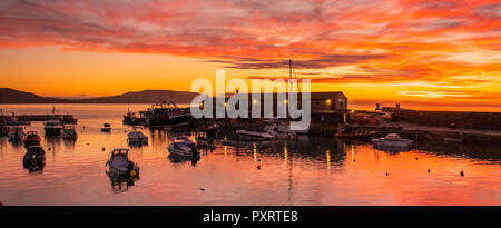 Lyme Regis, Dorset, Großbritannien. 24. Oktober 2018. UK Wetter: Die historischen Cobb Hafen in Lyme Regis leuchtet mit lebendigen Herbst Farbe bei Sonnenaufgang am Anfang eines kühlen Tag. Credit: Celia McMahon/Alamy leben Nachrichten Stockfoto