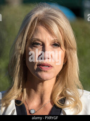 Washington, Vereinigte Staaten von Amerika. 24 Okt, 2018. Weiße Haus Senior Counsellor Kellyanne Conway erfüllt die Reporter auf der Zufahrt des Weißen Hauses in Washington, DC am Mittwoch, 24. Oktober 2018. Credit: Ron Sachs/CNP | Verwendung der weltweiten Kredit: dpa/Alamy leben Nachrichten Stockfoto