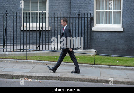 10 Downing Street, London, UK. 24. Oktober, 2018. Außenminister Jeremy Hunt kommt in Downing Street vor der Ankunft von König Willem Alexander und Königin Maxima der Niederlande während ihrer zweitägigen Staatsbesuch. Credit: Malcolm Park/Alamy Leben Nachrichten. Stockfoto